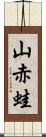 山赤蛙 Scroll