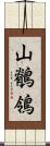 山鶺鴒 Scroll