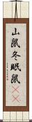山鼠 Scroll