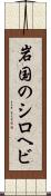 岩国のシロヘビ Scroll