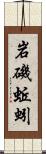 岩磯蚯蚓 Scroll
