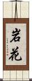 岩花 Scroll