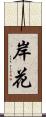 岸花 Scroll