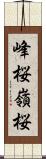 峰桜 Scroll