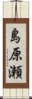 島原瀬 Scroll