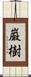 巌樹 Scroll