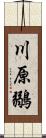 川原鶸 Scroll