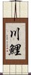 川鯉 Scroll