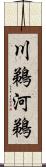 川鵜 Scroll