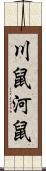 川鼠 Scroll