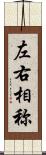 左右相称 Scroll