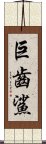 巨齒鯊 Scroll