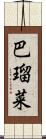 巴瑠菜 Scroll