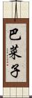 巴菜子 Scroll
