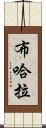 布哈拉 Scroll