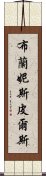 布蘭妮·斯皮爾斯 Scroll