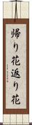 帰り花 Scroll