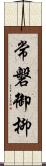 常磐御柳 Scroll