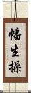 幡生操 Scroll