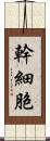 幹細胞 Scroll