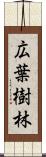 広葉樹林 Scroll