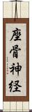 座骨神経 Scroll