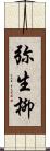 弥生柳 Scroll