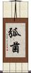 弧菌 Scroll