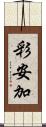 彩安加 Scroll
