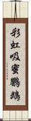 彩虹吸蜜鸚鵡 Scroll
