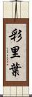 彩里葉 Scroll