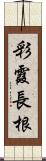 彩霞長根 Scroll