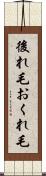 後れ毛 Scroll