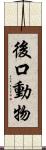 後口動物 Scroll