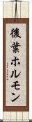 後葉ホルモン Scroll