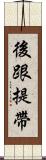 後跟提帶 Scroll