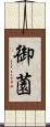 御薗 Scroll