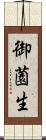 御薗生 Scroll