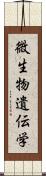 微生物遺伝学 Scroll