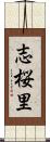 志桜里 Scroll