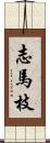 志馬枝 Scroll