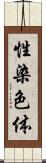 性染色体 Scroll