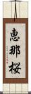 恵那桜 Scroll