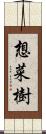 想菜樹 Scroll