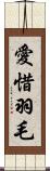 愛惜羽毛 Scroll