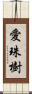 愛珠樹 Scroll