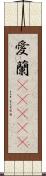 愛蘭(ateji) Scroll