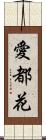 愛都花 Scroll