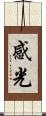 感光 Scroll
