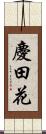 慶田花 Scroll